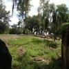 Vacation-2013-06-28-105948