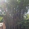 Vacation-2013-06-28-110017