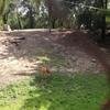 Vacation-2013-06-28-110124