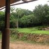 Vacation-2013-06-28-150948
