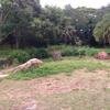 Vacation-2013-06-28-150959