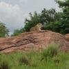Vacation-2013-06-28-151109