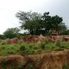Vacation-2013-06-28-151121