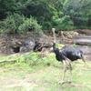 Vacation-2013-06-28-151156