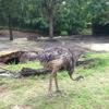 Vacation-2013-06-28-151202