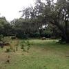 Vacation-2013-06-28-151216