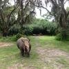 Vacation-2013-06-28-151303