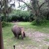 Vacation-2013-06-28-151309-1