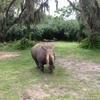 Vacation-2013-06-28-151309