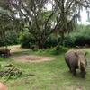 Vacation-2013-06-28-151312