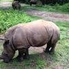 Vacation-2013-06-28-151331