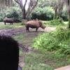Vacation-2013-06-28-151338