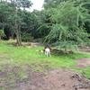 Vacation-2013-06-28-151431
