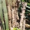 Vacation-2013-11-10-102733