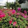 Vacation-2013-11-10-103804