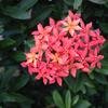 Vacation-2013-11-10-140906
