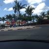 Vacation-2013-11-13-111931