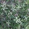 Vacation-2013-11-13-113033