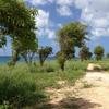 Vacation-2013-11-13-113200
