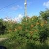 Vacation-2013-11-15-154244