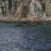 Cabo-2016-01-09-171159-1
