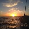 Cabo-2016-01-09-174708