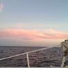 Cabo-2016-01-09-175902