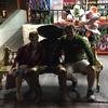 Cabo-2016-01-09-191644