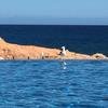Cabo-2016-01-11-132112