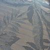 Cabo-2016-01-11-132127