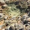 Cabo-2016-01-11-135215