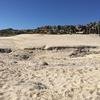 Cabo-2016-01-11-142051