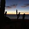 Cabo-2016-01-12-063340