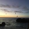 Cabo-2016-01-12-064731