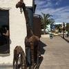 Cabo-2016-01-12-125827