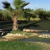 Cabo-2016-01-12-154549