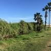 Cabo-2016-01-12-154701