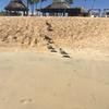 Cabo-2016-01-13-114814
