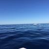 Cabo-2016-01-15-100221