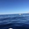 Cabo-2016-01-15-100224