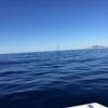 Cabo-2016-01-15-100509