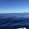 Cabo-2016-01-15-100511-1