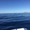 Cabo-2016-01-15-100511
