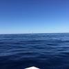 Cabo-2016-01-15-101056