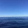 Cabo-2016-01-15-101221