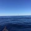Cabo-2016-01-15-101222