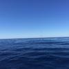 Cabo-2016-01-15-101224