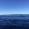 Cabo-2016-01-15-101225