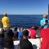 Cabo-2016-01-15-102316
