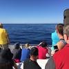Cabo-2016-01-15-102339